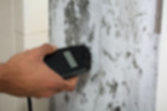 Close-up Of A Person's Hand Measuring Wetness Of Moldy Wall