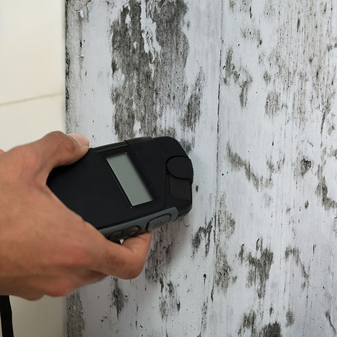 Close-up Of A Person's Hand Measuring Wetness Of Moldy Wall