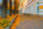Autumn in the city