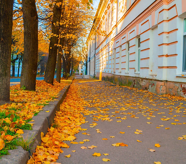 Autumn in the city