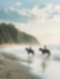 Paseos a caballo por la playa