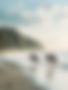Horseback Riding on Beach