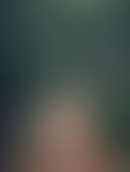 A serene green path lined with trees, illustrating the beauty of nature even in the rain.