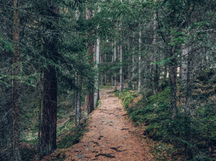 🌿 Letting Go of Control Is Actually a Position of Power