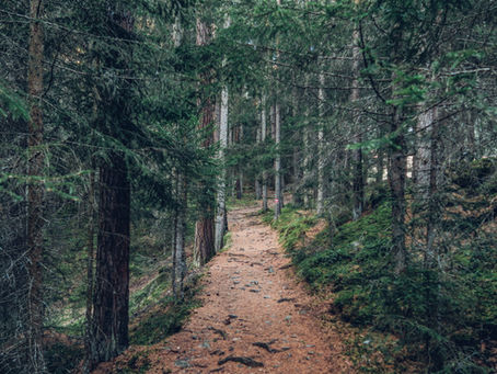 WBR: Getting Our ACT Together, Part 2