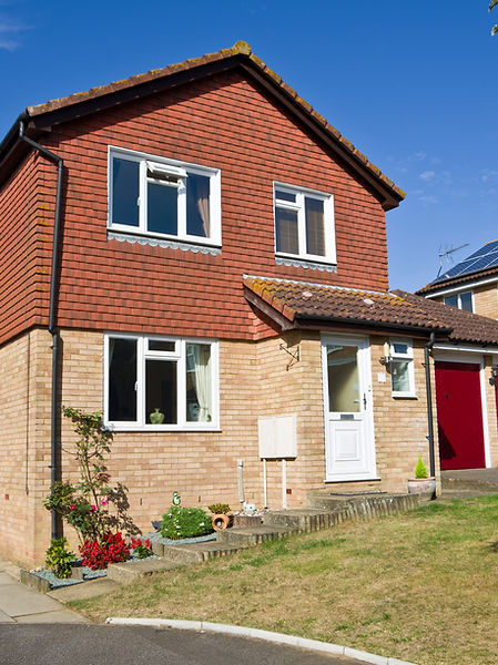 Detached home with plants outside