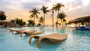 Envision your Oasis