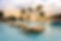 Best of Ivory Coast Discovery – 8 Days