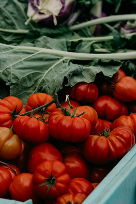Fresh Organic Tomatoes