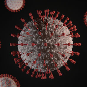COVID QUARANTINE: THE LATEST