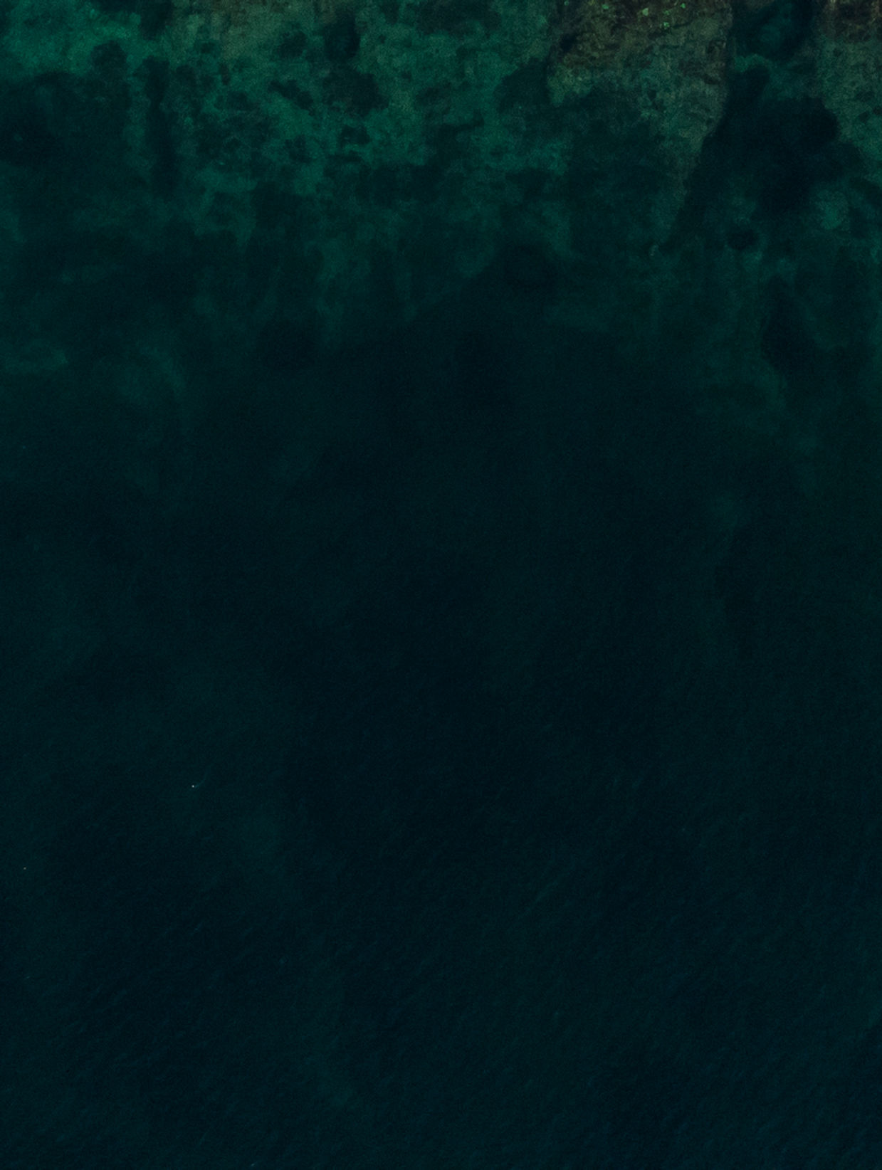 ダークロックス