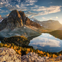 The Living Dialogue: Why Ecosystem Health is the Ultimate Wellness Check