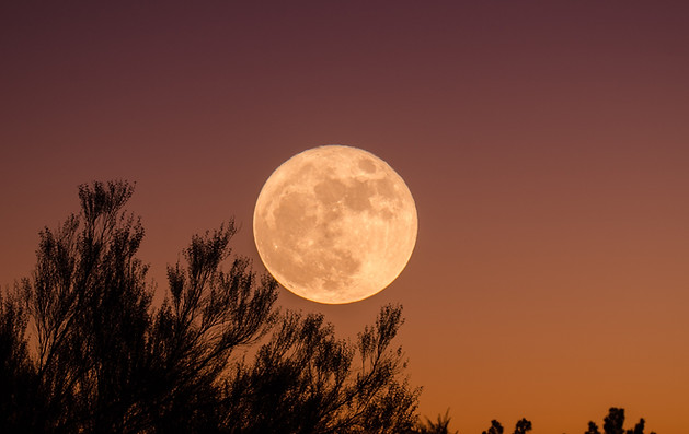 pleine lune