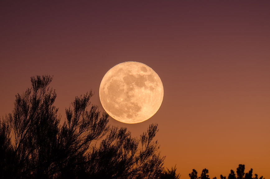 Full Moon Landscape