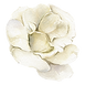 Flor blanca