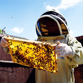 Bee Keeper
