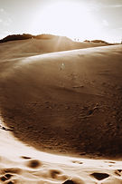 Desert