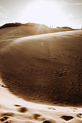 Desert