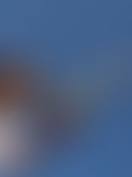 Navigating Common Tennis Injuries: Prevention and Recovery Tips