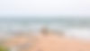 Polluted Beach