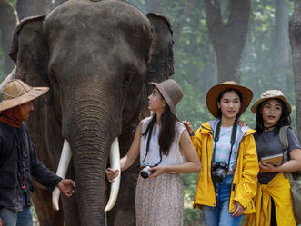 Indonésie : la fin des balades à dos d’éléphants, un tournant pour le tourisme responsable