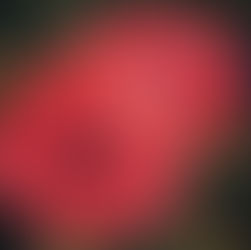 11-08 Cách Cảm Tạ Chúa