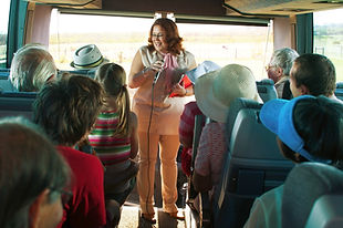 Guide in a Tourist Bus