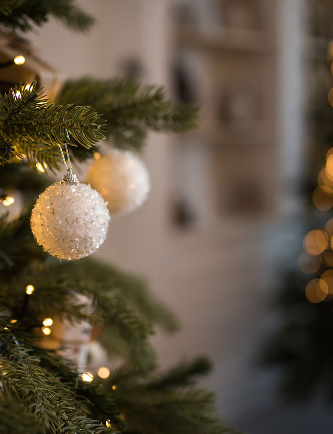 Kick off the Christmas season with decorated trees, holiday décor, gifts, seasonal florals, Santa photos and festive inspiration at Evergreen Home & Floral.