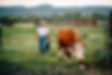Farmer with Cow
