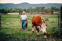 Farmer with Cow