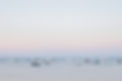 Yachts in th Ocean