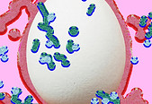 Egg with Abstract Bacteria