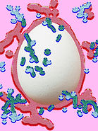 Œuf avec bactéries abstraites
