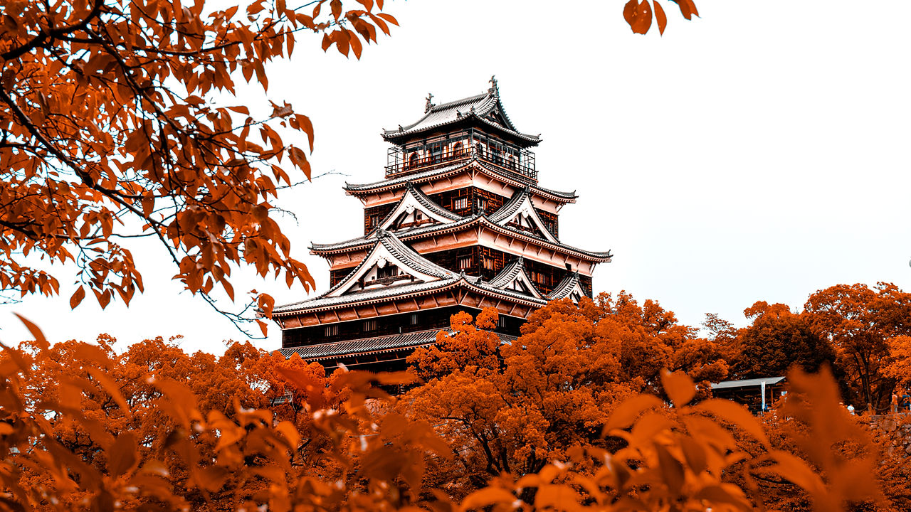 Orange Leaves