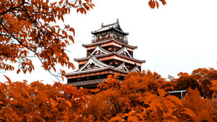 Transforming Careers: The Power of a Winning CV