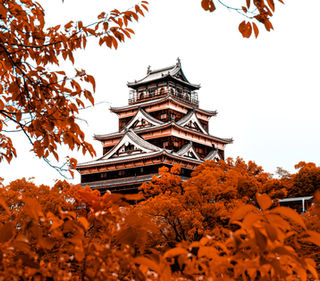 В 2024 году Японию посетили почти 100 тысяч туристов из России