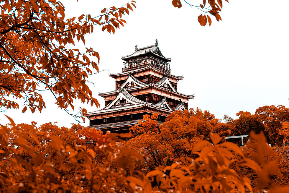 Japanese Castle View