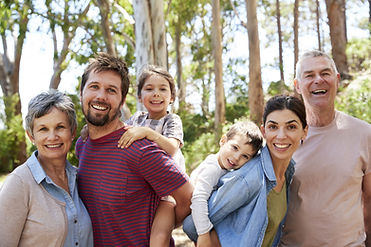 Aile resmi