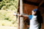 Girl with Bow and Arrow
