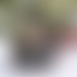 MINHA CONTA NO TIKTOK FOI BANIDA, O QUE POSSO FAZER?