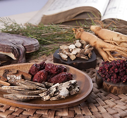 Medicinal Herb
