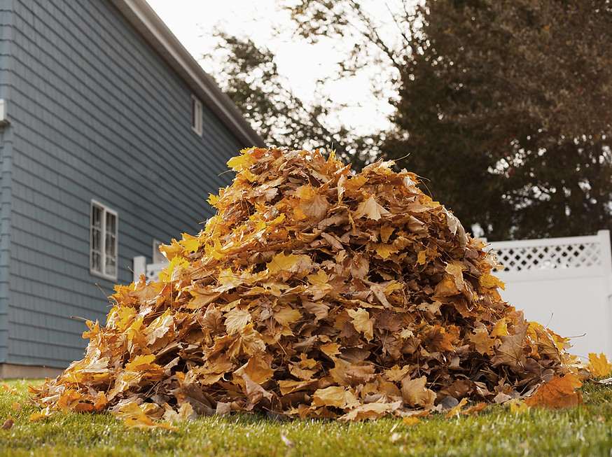 Pile Of Autumn Leaves texas luke property solution fall property clean up