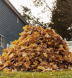 Autumn Leaves
