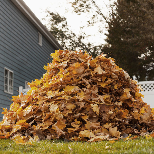 Lawn care and landscaping work
