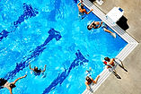 Swimming Pool Activity