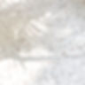 Terrazzo Tiles