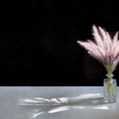 故土方先生の御遺稿掲載について