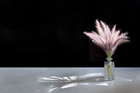 Pampas Flower