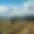 Tractors in Field