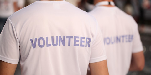Back of a group of volunteers